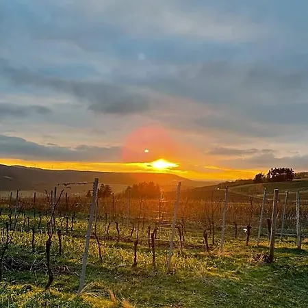 Lembergblick