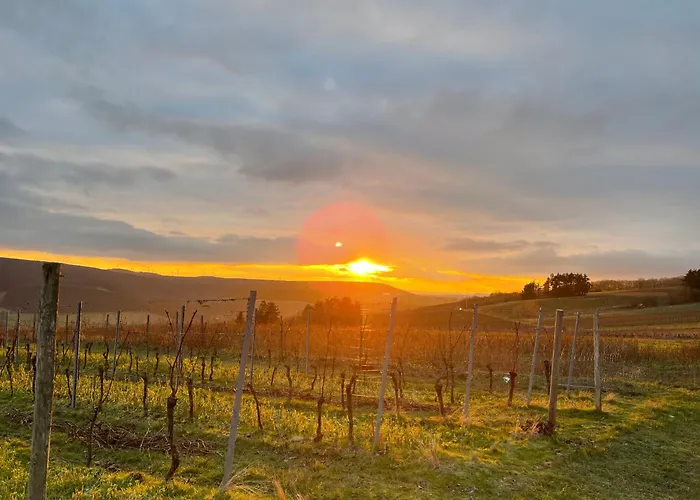 Hotel Lembergblick 3*