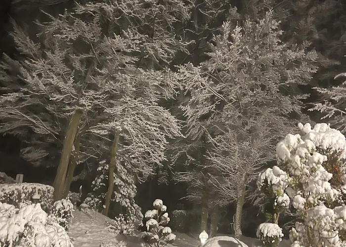 Hotel Lembergblick Feilbingert